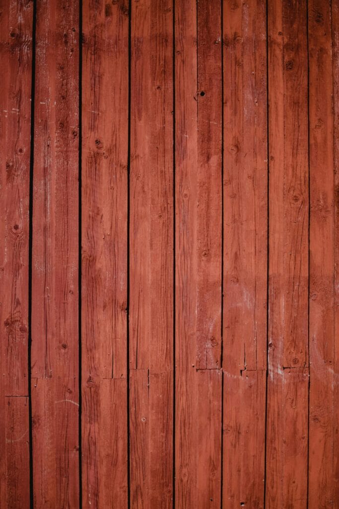 pexels-eva-bronzini-6407464